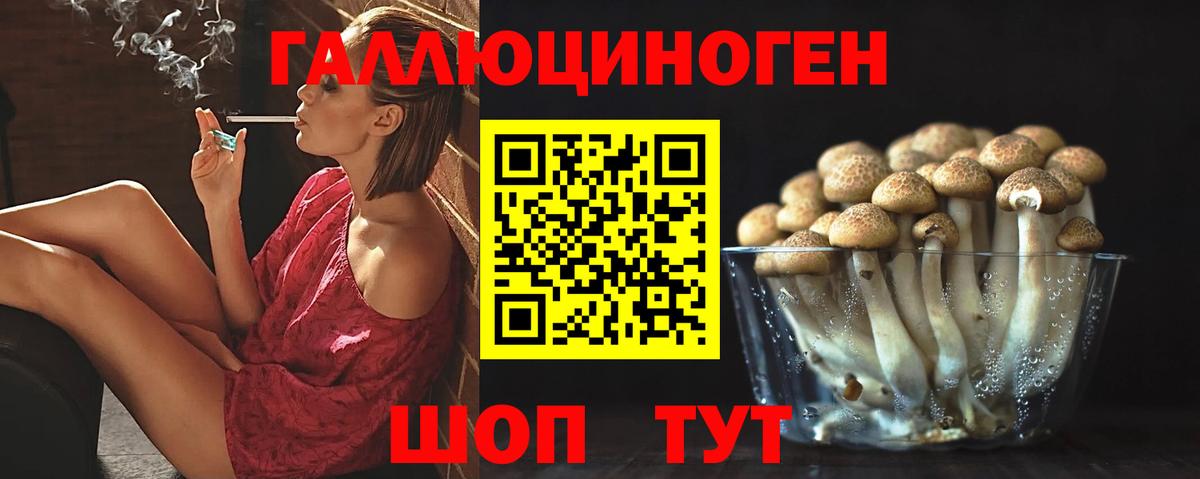 купить наркотики сайты  Вход с VPN  Реутов  Галлюциногенные грибы Cubensis 
